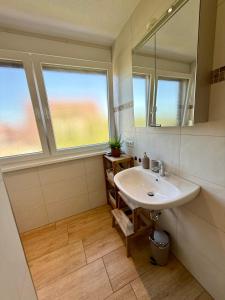 a bathroom with a sink and a mirror at ZK Living Ferienwohnung OG in Kleinkötz
