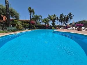 a blue swimming pool with palm trees in the background at Orchidea Bianca in Giardini Naxos