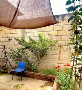a blue chair sitting in front of a brick wall at Hostal León in Quetzaltenango