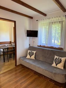 a living room with a couch and a window at Pokoje gościnne Kozica in Zakopane