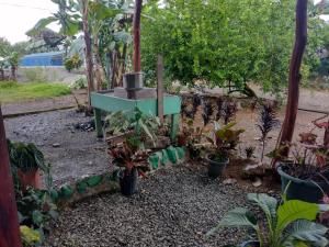 a garden with a fountain in the middle at La Chonta de Corcovado in Puerto Jiménez +46 photos