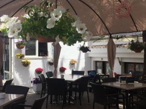 Ресторан / где поесть в Hotel Antares