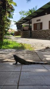 Fotografie z fotogalerie ubytování MO TI KOTÉ v destinaci Cayenne
