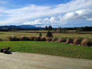 a dog sitting on a wooden path in a field at Fantails Rest - Torokiki in Springfield