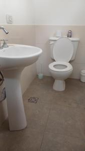 a bathroom with a white toilet and a sink at LA ARAUCARIA, Casa de Campo in Trenque Lauquen