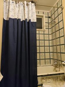 e bagno con tenda doccia blu e vasca. di Casa central cerca de todo a Los Ángeles