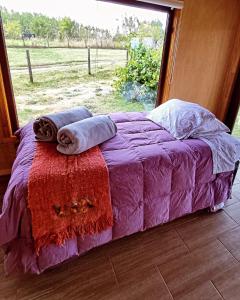 Postel nebo postele na pokoji v ubytování Casa Rayen