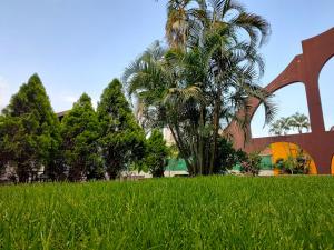 Zahrada ubytování Hotel Tepoztlán