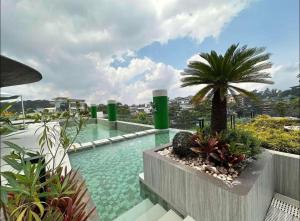 Πισίνα στο ή κοντά στο First Class Modern Suite in City Hub Baguio City +17 φωτογραφίες