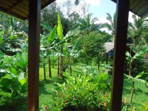 El Castillo de La ConcepciónHotel Lara's Planet的相册照片