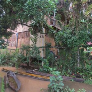 einen Garten mit einer Treppe an der Seite eines Gebäudes in der Unterkunft Hotel Lara's Planet in El Castillo de La Concepción