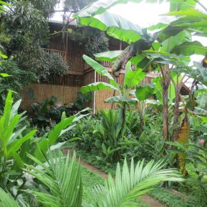 El Castillo de La ConcepciónHotel Lara's Planet的相册照片
