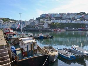 een groep boten is aangemeerd in een haven bij Rockfish Cottage in Brixham +2 foto's
