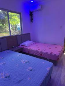 deux lits dans une chambre aux murs violets dans l'établissement Farm small courtyard, à Sampong