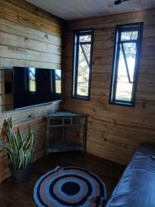 a living room with wooden walls and a flat screen tv at Casa na arvore Dream tree house in Santa Clara dʼOeste +46 photos