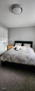 Immaculate suite in Airdrie客房内的一张或多张床位