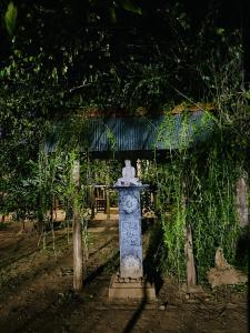 Zahrada ubytování Banana Shade Cottage