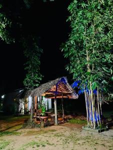 Zahrada ubytování Banana Shade Cottage