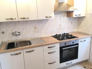 Kuchyň nebo kuchyňský kout v ubytování Guesthouse Maver
