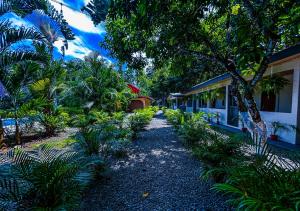 a path leading to a house with trees and plants at Iguana Lodge in Puerto Viejo