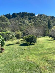 Paesaggio naturale nelle vicinanze dell'aparthotel