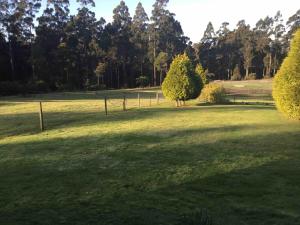 Zahrada ubytování Cabin in the Tasmanian Bush - Tranquility!
