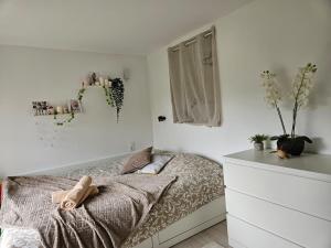 une chambre avec un lit avec un ours en peluche dessus dans l'établissement sanary villa design piscine calme clim parking, à Sanary-sur-Mer 6 autres photos