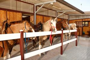 Photo de la galerie de l'établissement B&B Le Corone, à Cavalo