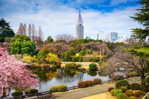 アパートメントの近くで見られる自然の景観
