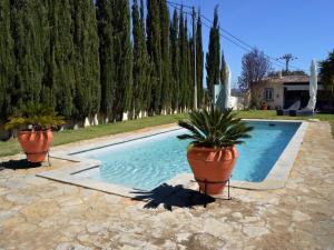 uma piscina com dois vasos de plantas ao lado de uma casa em Casal da Eira em São Brás de Alportel