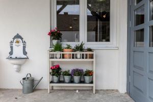 Ogród w obiekcie Ferienhaus Burgenland 2