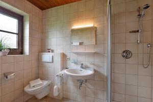 a bathroom with a sink and a toilet and a shower at Haus Sebastian in Walchsee