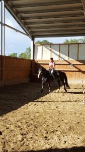 una mujer montando un caballo en una arena en Agriturismo Corte del Gallo, en Rivergaro