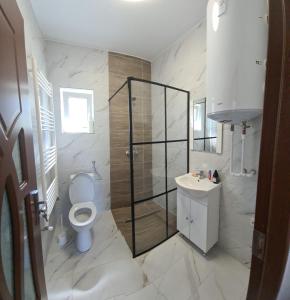 a bathroom with a shower and a toilet and a sink at Garden Chalet in Cîmpulung