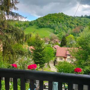 Příroda nedaleko venkovského domu