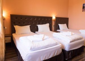 Postel nebo postele na pokoji v ubytování City Blagoevgrad Family Hotel