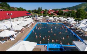 Πισίνα στο ή κοντά στο Apartament ALEX-LUXURY