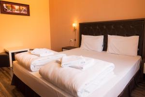 Postel nebo postele na pokoji v ubytování City Blagoevgrad Family Hotel