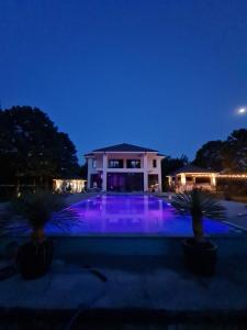 a villa with a swimming pool at night at Casa Movilita El DoD in Moviliţa