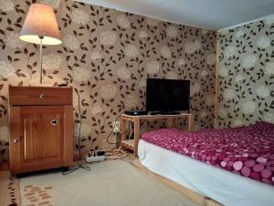 a bedroom with a bed and a tv in it at City Center Rooms in Budapest