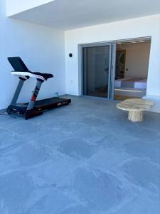 Fitness centrum a/nebo fitness zařízení v ubytování DIA suites collection
