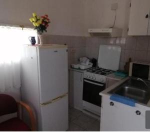 a kitchen with a white refrigerator and a white stove at Balatoni Fészek in Badacsonytomaj