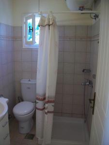 a bathroom with a shower with a toilet and a window at Rosa's Studios in Fiskardo