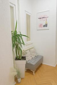 贝尔格莱德ELEGANT STAY-Boutique Apartment Experience的一间配有沙发的房间和盆栽植物 更多6张照片