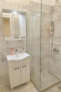 贝尔格莱德ELEGANT STAY-Boutique Apartment Experience的带水槽和淋浴的浴室