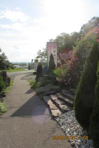 a garden with bushes and flowers and a sidewalk at Motel Šofér in Volkovce