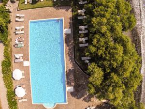 Бассейн в Olive Press Hotel & Apartments или поблизости