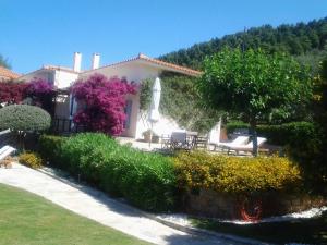 a white house with a tree and some flowers at Elies Houses in Agnontas
