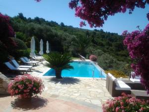 a swimming pool with lounge chairs and trees at Elies Houses in Agnontas