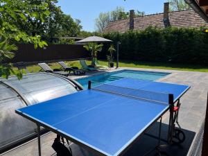 a blue ping pong table in front of a swimming pool at Sweet Home Apartman in Balatonszárszó